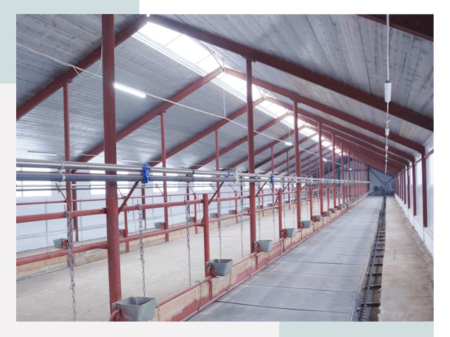 Строительство коровников в Сарове от 625 руб.