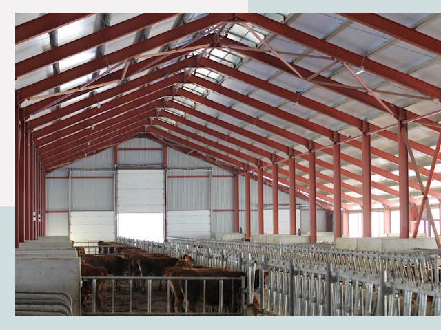 Строительство коровников в Сарове