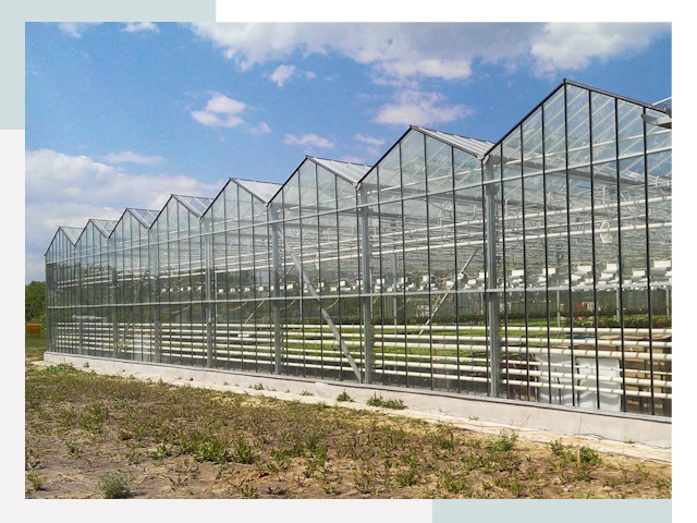 Строительство теплиц в Саров от 625 руб. за м²
